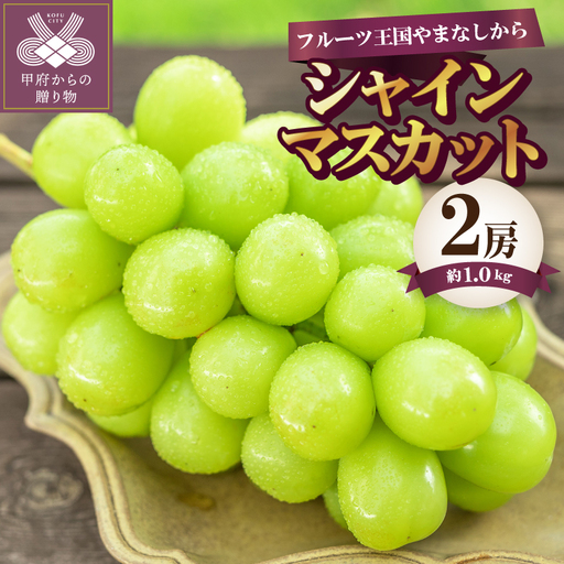 [2026年度配送分]シャインマスカット2房(約1.0kg) シャインマスカット 山梨 県産 先行予約 2026年 ぶどう フルーツ 2房 冷蔵 生産量 日本一 甲府 市産 1.0kg以上 フルーツ王国山梨 2026年8月中旬〜9月中旬にかけて順次発送