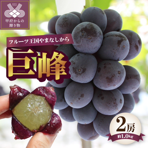 〈2026年度配送分〉巨峰2房（約1.0kg）