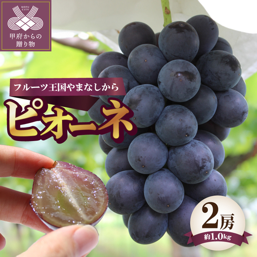 〈2026年度配送分〉ピオーネ2房（約1.0kg） ピオーネ 大粒 山梨 県産 先行予約 2026年 ぶどう フルーツ 2房 冷蔵 生産量 日本一 甲府 市産 1.0kg以上 フルーツ王国山梨 2026年8月上旬～8月下旬にかけて順次発送