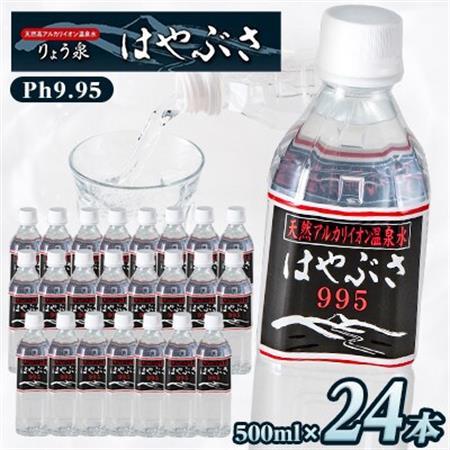 【毎月定期便】りょう泉はやぶさ　995〈500ml×24本〉全12回【4058674】