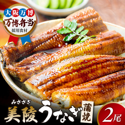 【お中元対象】鰻 鰻の蒲焼 2尾 BLAM003