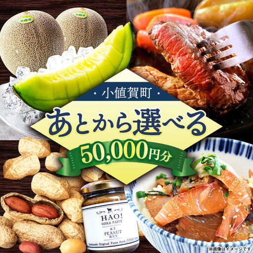 【あとから選べる】町 ふるさとギフト 5万円分 先に寄附 5万円 50000円 長崎県  [DYZ008]