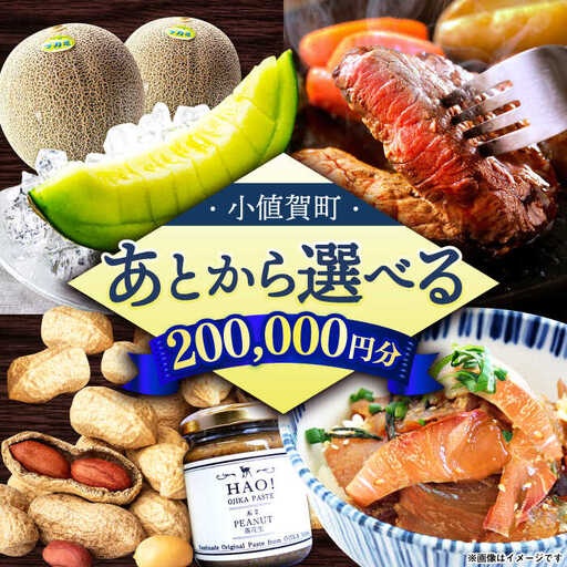 [あとから選べる]町 ふるさとギフト 20万円分 先に寄附 20万円 200000円 長崎県 