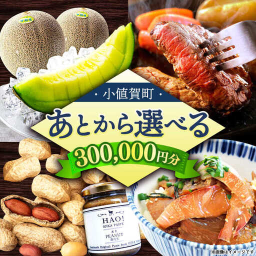 [あとから選べる]町 ふるさとギフト 30万円分 先に寄附 30万円 300000円 長崎県 