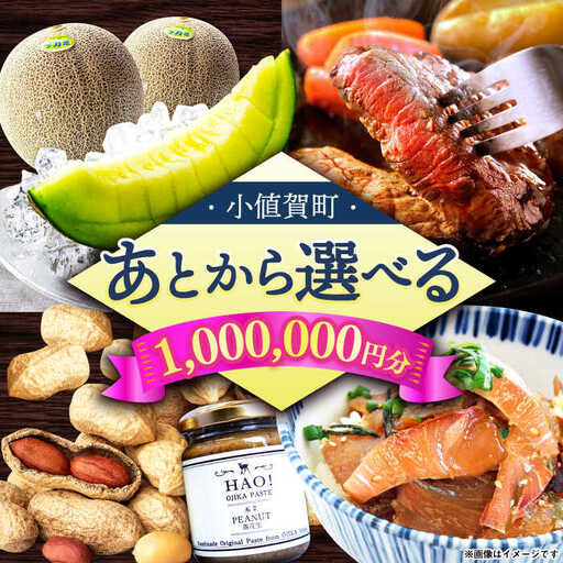 [あとから選べる]町 ふるさとギフト 100万円分 先に寄附 100万円 長崎県 