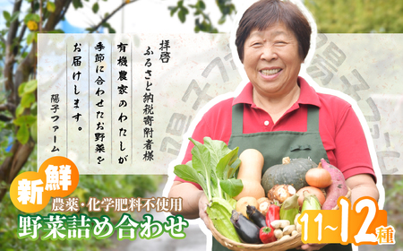 旬の野菜詰め合わせ 11〜12種 | 野菜セット 詰め合わせ