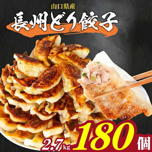 訳あり 鶏餃子180個 ギョーザ 鳥肉餃子 IB