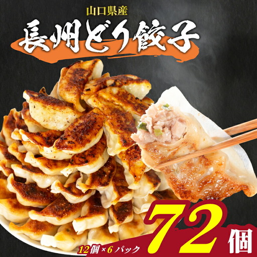 訳あり 餃子72個 冷凍 小分け 鶏肉餃子 IB