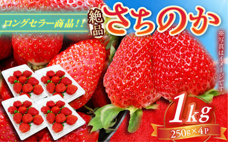 【2027年1月以降順次発送】さちのか 1kg（250g×4パック） / 佐賀県 / リフルット株式会社 [41ABAA006]