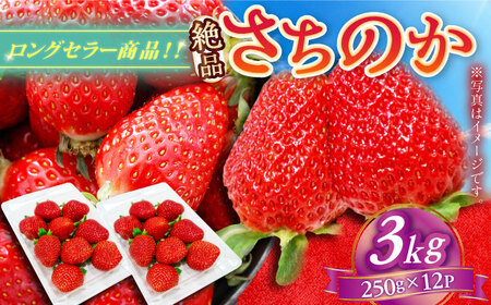 【2027年1月以降順次発送】さちのか 3kg（250g×12パック） / 佐賀県 / リフルット株式会社 [41ABAA010]