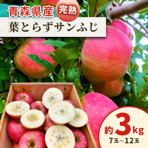 完熟!葉とらずサンふじ 3kg [1086]