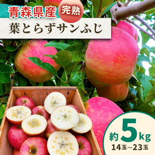 完熟！りんご 葉とらずサンふじ 5kg [1087] | 青森 つがる