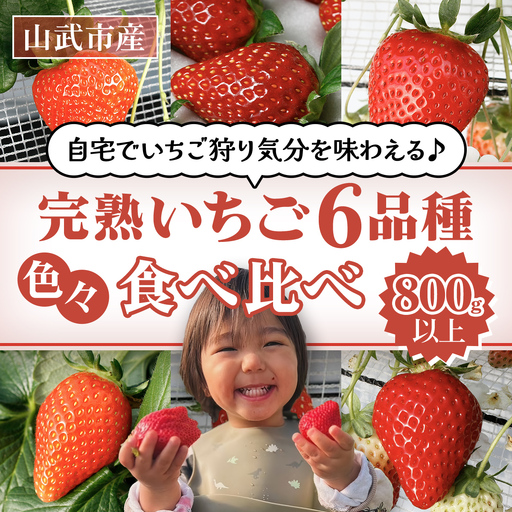 [先行予約][1月から発送]自宅でいちご狩り気分! 完熟いちご6品種食べ比べセット 800g以上 / イチゴ 苺 果物 くだもの フルーツ 旬のくだもの 季節のフルーツ 食べ比べ 詰め合わせ セット 希少品種 千葉県 山武市
