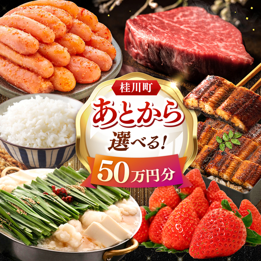 【あとから選べる】桂川町ふるさとギフト 50万円分 [ADBV010] 選べる セレクト カタログ 定期便 肉 フルーツ