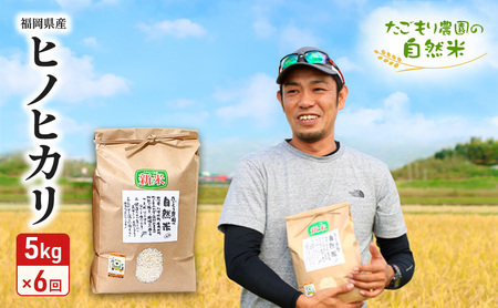 ヒノヒカリ 自然米 たごもり農園 農薬不使用 福岡県産 ヒノヒカリ【5kg】【定期便6回】