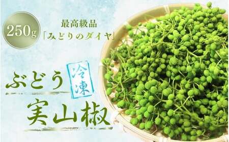 冷凍 ぶどう 生実山椒 250g / 山椒 さんしょう 香辛料 調味料 薬味 冷凍 ぶどう山椒 生山椒 和歌山県 紀美野町 生実山椒[twn020A]