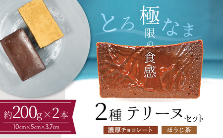 【テリーヌ専門店L】（約２００g）濃厚チョコレート・ほうじ茶2種のテリーヌセット【グルテンフリー・保存料不使用】 スイーツ H173-037