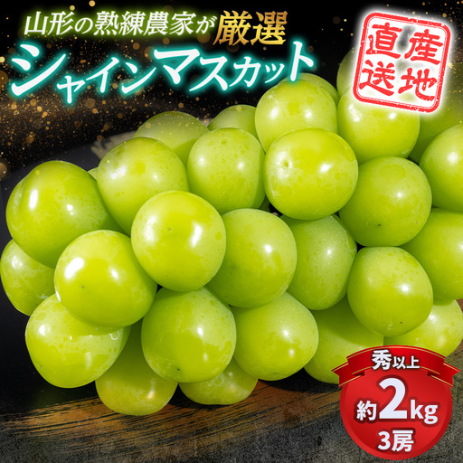 大人気！【こんのぶどう園】山形本沢産 高級ぶどう シャインマスカット 3房【令和8年産先行予約】FS25-721 フルーツ くだもの 果物 山形 山形県 山形市 ぶどう 葡萄 ブドウ セット 2026年産  