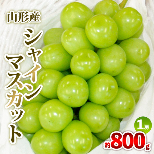 山形産 シャインマスカット 約800g 1房 秀品 【令和8年産先行予約】FS25-607 くだもの 果物 フルーツ 山形 山形県 山形市 2026年産