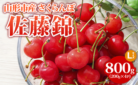 山形市産 さくらんぼ【佐藤錦】Lサイズ 800g(200g×4P) 【令和9年産先行予約】FS24-754
