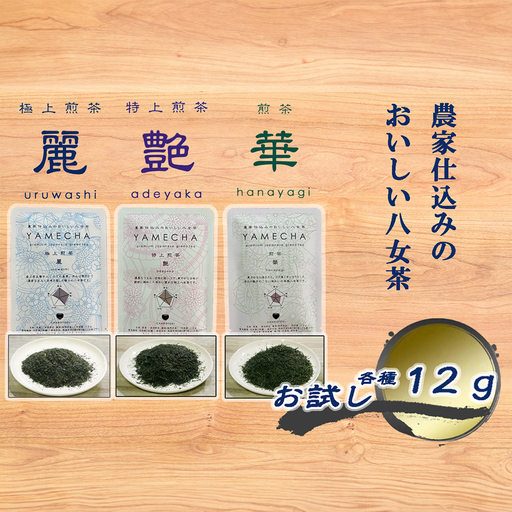 CE-080_【八女茶】原田茶園 お試し　極上煎茶　麗  １２ｇ、特上煎茶　艶　１２ｇ、煎茶　華　１２ｇ　計３６ｇ