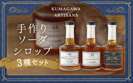 手軽にcafe気分 手作り ソーダ シロップ 3種 セット 有機 生姜 エルダーフラワー ハーブ クラフト コーラ パール柑 甘夏 不知火 梅 はちみつ 日本蜜蜂