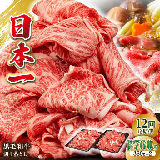 【全12回定期便】長崎県産黒毛和牛切り落とし 760g（380×2）《壱岐市》【弥川畜産】 冷凍配送 肉 牛肉 スライス 和牛 すき焼き 牛丼 贈答 プレゼント 小分け [JGF007]