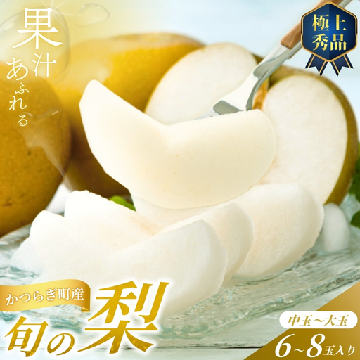 [2026年発送分先行予約] 旬の梨 極上 秀品(中玉〜大玉)6〜8個入り [2026年8月中旬〜9月中旬頃発送予定][KG23][BK023-kgr015]