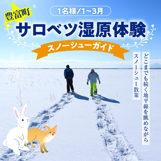 サロベツ湿原体験!スノーシューガイド 1名様 [1〜3月]