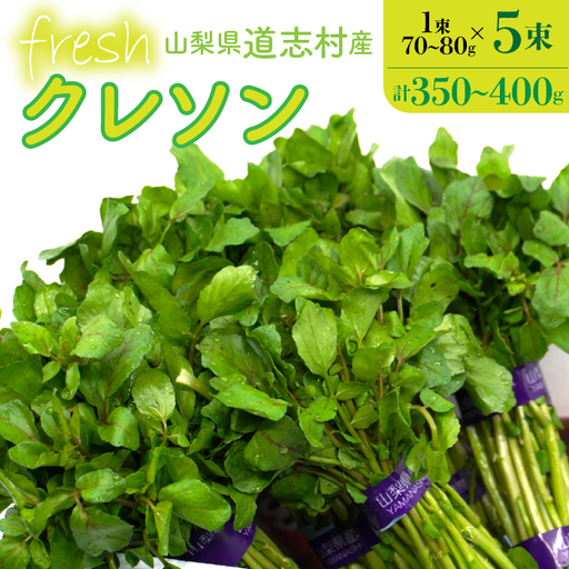 【産地直送】朝摘み新鮮！道志村産クレソン 5束（350～400g） DSAA001 【期間限定】