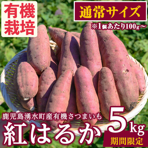 さつまいも 紅はるか 5kg サツマイモ 通常サイズ 有機 [そのやま農園]_y329-C