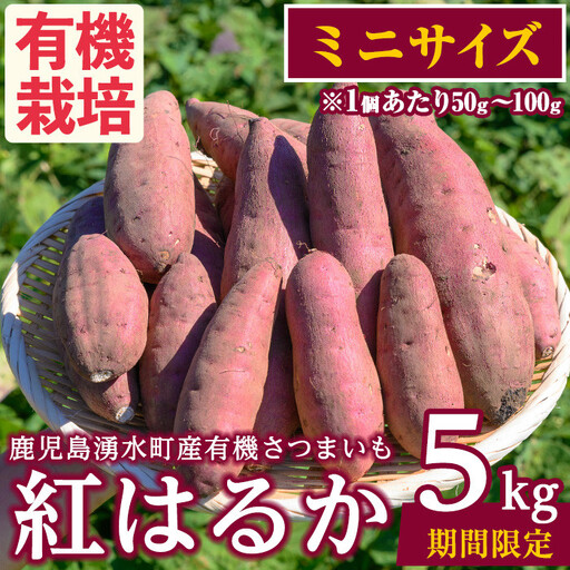 さつまいも 紅はるか 5kg サツマイモ ミニサイズ 有機 [そのやま農園]_y329-D