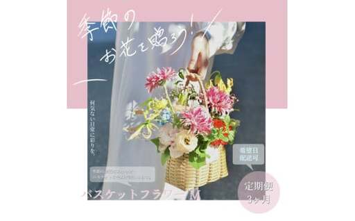 [3ヵ月定期便]季節の生花バスケットフラワーM