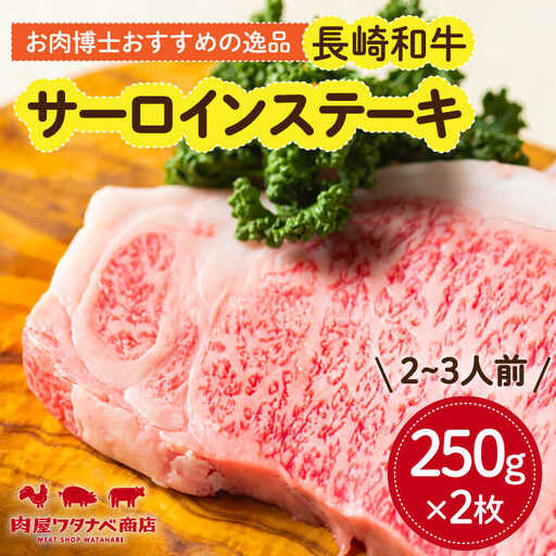 長崎和牛サーロインステーキ 500g [ECT009] ステーキ 牛肉 焼肉
