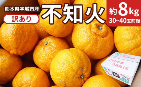 先行予約 訳あり 不知火 約8kg 【2027年2月下旬から4月上旬発送予定】