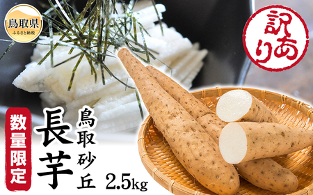 訳あり鳥取砂丘長芋 2.5kg[数量限定]_T2600294