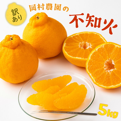 【 不知火 】訳あり 不知火 約 5kg dp005
