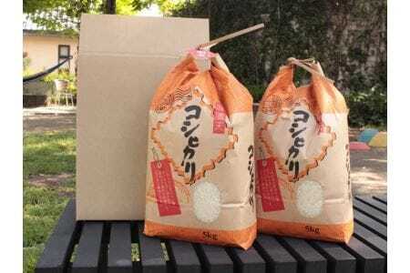 郡上こしひかり10ｋｇ（3回）【定期便】