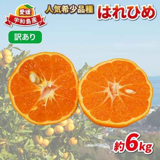 訳あり はれひめ 約6kg 協徳ガーデン 先行予約 予約受付 訳アリ わけあり 瀬戸の晴れ姫 晴姫 蜜柑 mikan 愛媛みかん 愛媛ミカン 愛媛蜜柑 果物 くだもの 柑橘 フルーツ 希少 品種 数量限定 産地直送 農家直送 国産 愛媛 宇和島 B010-178004