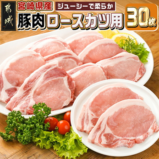 宮崎県産豚肉ロースカツ用30枚〔18-M601〕_(都城市) 宮崎県産豚肉 ロースカツ用 100g×30枚 とんかつ トンテキ ポークステーキ