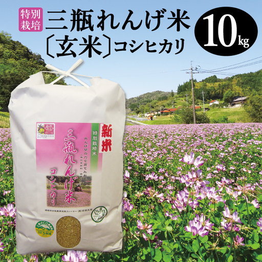 〈玄米〉特別栽培 三瓶れんげ米 コシヒカリ 10kg【令和6年産 お米 玄米 10kg こしひかり 2024年産 特別栽培米 1等米 無化学窒素肥料 減農薬米】