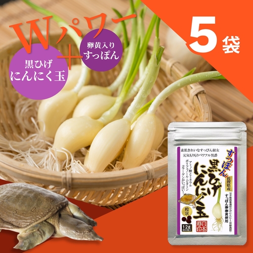 【レターパックライト配送】こつこつ真面目に作った すっぽん黒ひげにんにく玉 5袋セット：B400-023