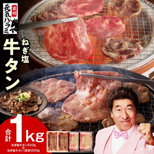 ねぎ塩 牛タン 食べ比べセット 合計 1kg(牛タン 500g/成型牛たん 500g)