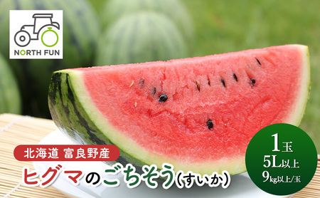 [2026年夏発送]富良野産 ヒグマのごちそう(すいか)[1玉 5L以上 9kg以上/玉] スイカ 果物