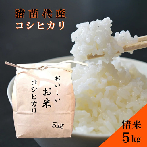 米 令和6年度産 コシヒカリ 5kg 白米 精米 生産者直送 直送