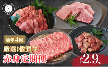 厳選!佐賀牛 赤身 定期便 全4回 モモ カタ スライス 焼き肉 ステーキ 煮込み料理 N130-2