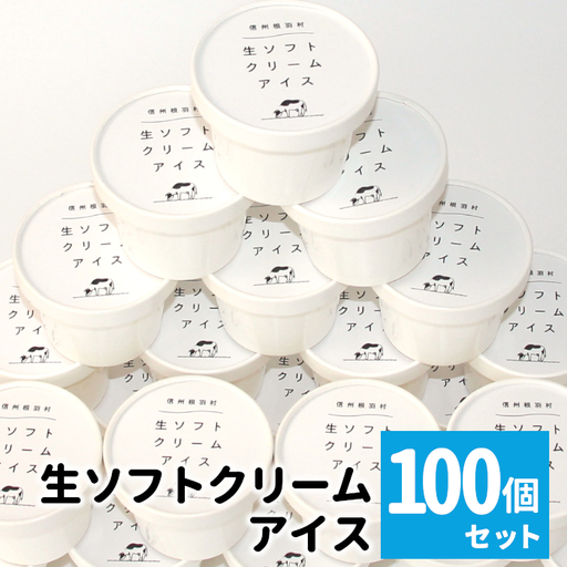 イベントやパーティにも◎生ソフトクリームアイス100個 80ml アイスクリーム ソフトクリーム スイーツ アイス デザート 根羽村 ネバーランド 60000円