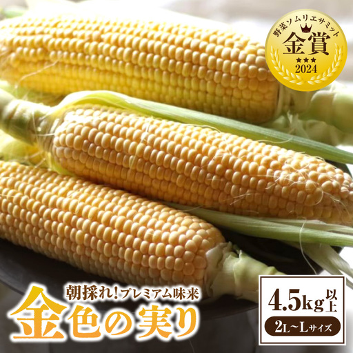 [2027年6月〜発送]朝採れ!プレミアム味来 〜金色の実り〜 4.5kg以上(2L〜L)・S064-115