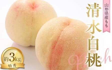 【令和9年産先行予約】 もも「清水白桃」 約3kg (11～15玉 特秀) 《令和9年8月中旬～発送》 『NOWAフルーツ』 モモ 果物 フルーツ デザート 山形県 南陽市 [2246-R9]