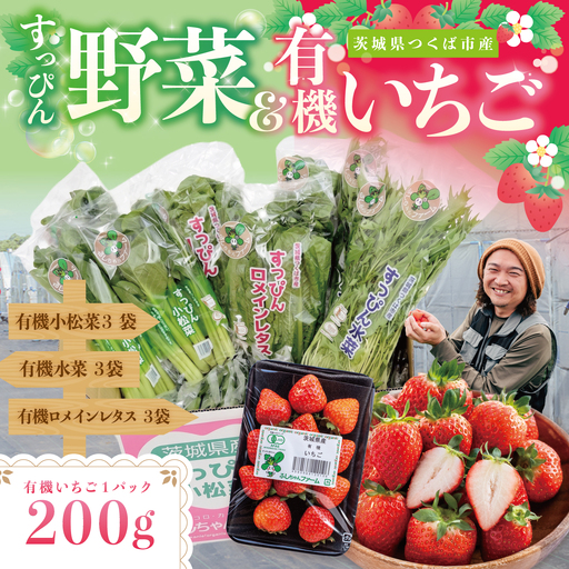 【2027年1月中旬～発送開始】希少な有機栽培いちご 恋みのり 200g ・ 有機やさい3種セット いちご　